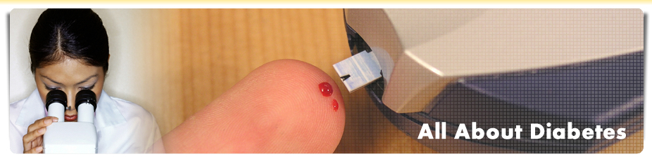 kindergarten banner free sample